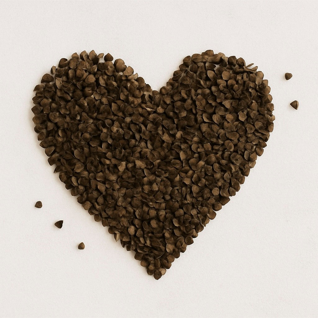 Coques de sarrasin naturelles